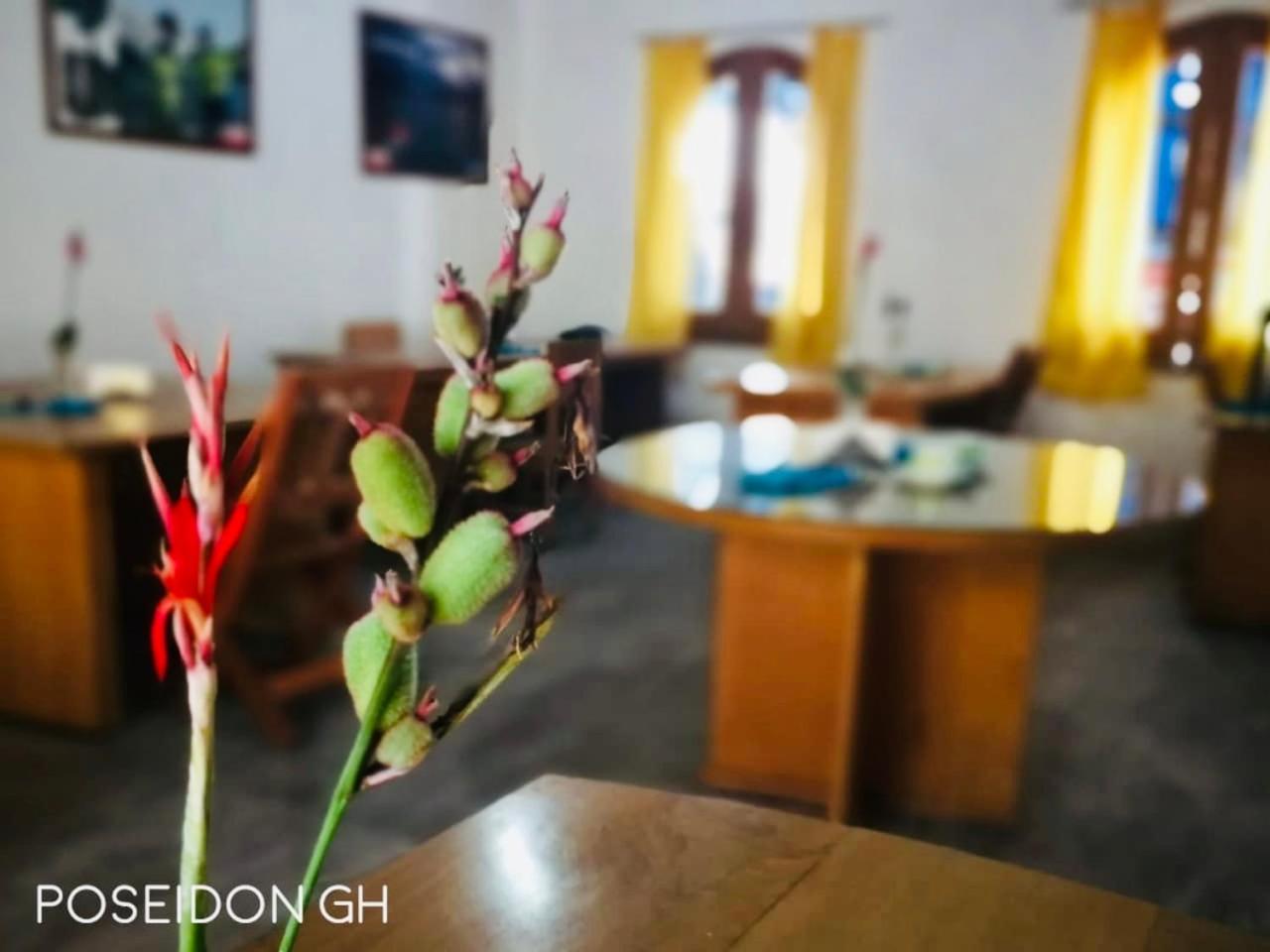 Poseidon Guest House Ікітос Екстер'єр фото
